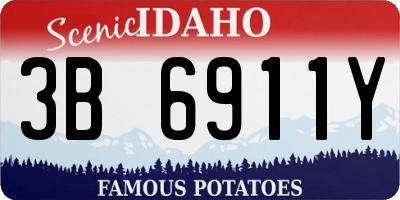 ID license plate 3B6911Y