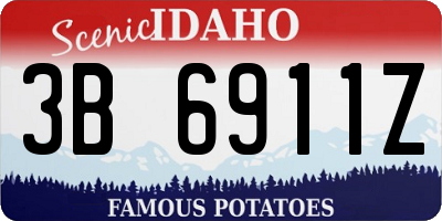 ID license plate 3B6911Z
