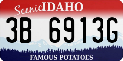ID license plate 3B6913G