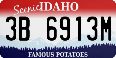 ID license plate 3B6913M