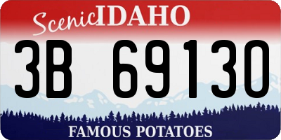 ID license plate 3B6913O