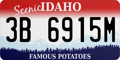 ID license plate 3B6915M