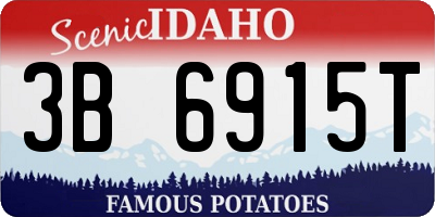 ID license plate 3B6915T