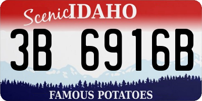 ID license plate 3B6916B