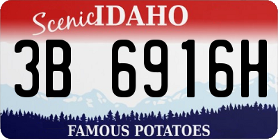 ID license plate 3B6916H