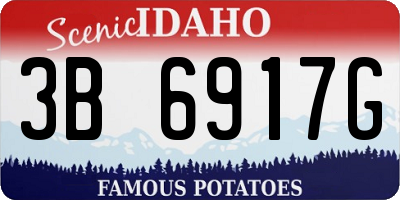 ID license plate 3B6917G