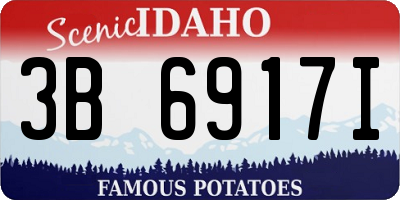 ID license plate 3B6917I