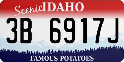ID license plate 3B6917J