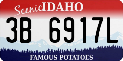 ID license plate 3B6917L