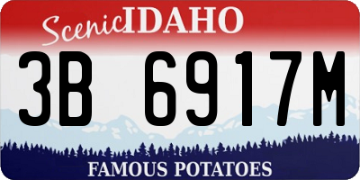 ID license plate 3B6917M