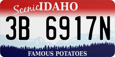 ID license plate 3B6917N