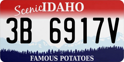 ID license plate 3B6917V