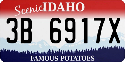 ID license plate 3B6917X