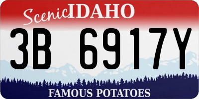ID license plate 3B6917Y