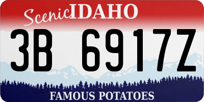 ID license plate 3B6917Z