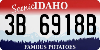 ID license plate 3B6918B