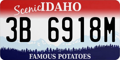 ID license plate 3B6918M