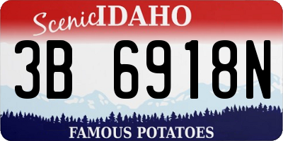 ID license plate 3B6918N