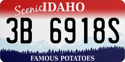 ID license plate 3B6918S