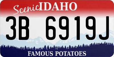 ID license plate 3B6919J