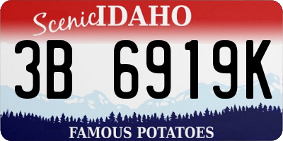 ID license plate 3B6919K