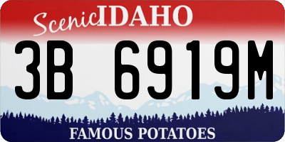 ID license plate 3B6919M