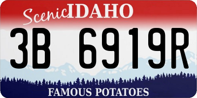 ID license plate 3B6919R