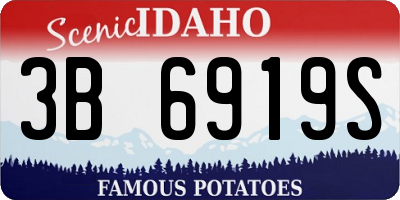 ID license plate 3B6919S