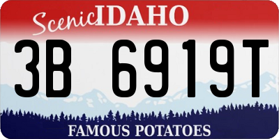 ID license plate 3B6919T