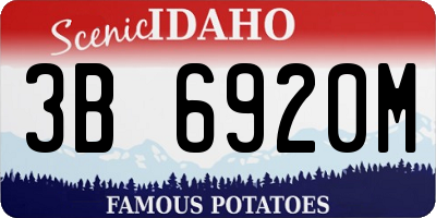 ID license plate 3B6920M