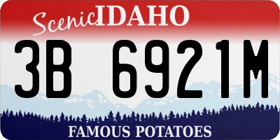 ID license plate 3B6921M