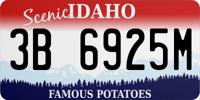 ID license plate 3B6925M