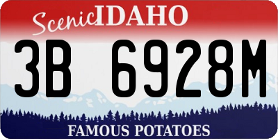 ID license plate 3B6928M