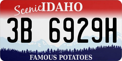 ID license plate 3B6929H
