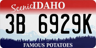 ID license plate 3B6929K