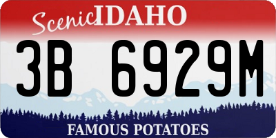 ID license plate 3B6929M