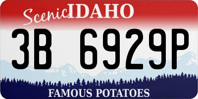 ID license plate 3B6929P