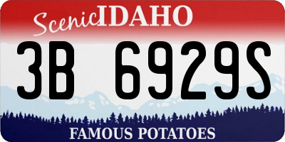 ID license plate 3B6929S