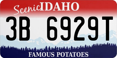 ID license plate 3B6929T