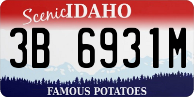ID license plate 3B6931M