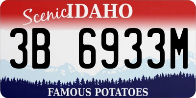 ID license plate 3B6933M