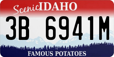 ID license plate 3B6941M
