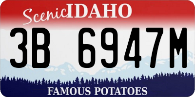 ID license plate 3B6947M