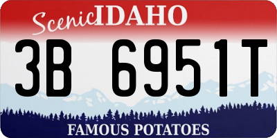 ID license plate 3B6951T