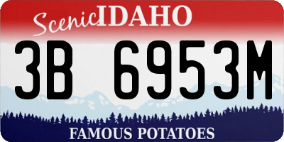 ID license plate 3B6953M