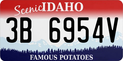 ID license plate 3B6954V