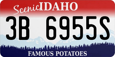 ID license plate 3B6955S
