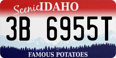 ID license plate 3B6955T
