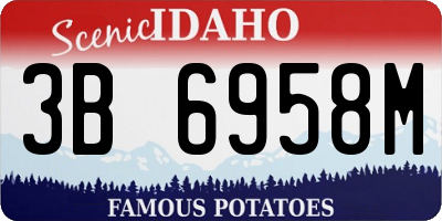 ID license plate 3B6958M