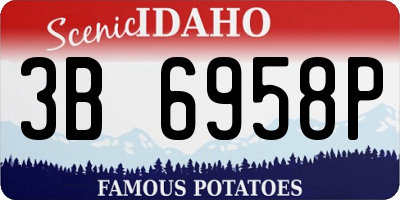 ID license plate 3B6958P
